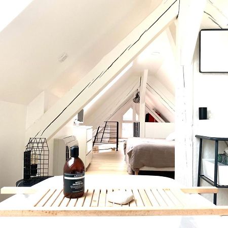 La Cle Des Toits Apartment Colmar Exterior photo